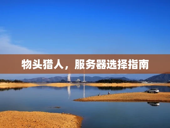 物头猎人，服务器选择指南