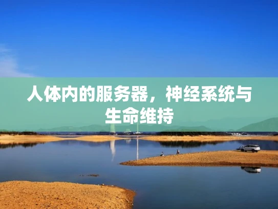 人体内的服务器，神经系统与生命维持