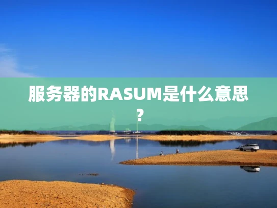 服务器的RASUM是什么意思？
