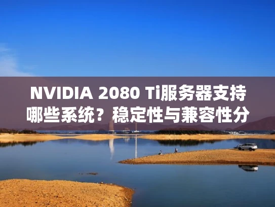 NVIDIA 2080 Ti服务器支持哪些系统？稳定性与兼容性分析