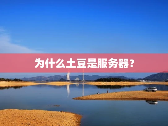 为什么土豆是服务器？