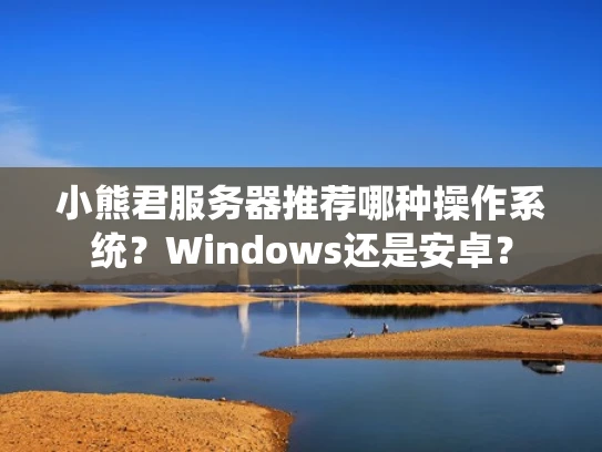 小熊君服务器推荐哪种操作系统？Windows还是安卓？
