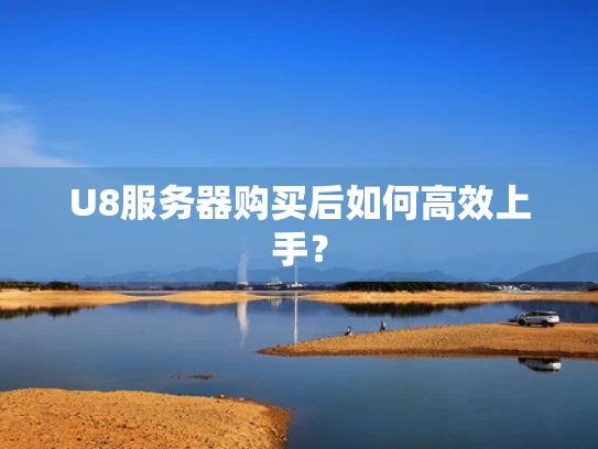U8服务器购买后如何高效上手？