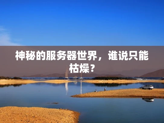神秘的服务器世界，谁说只能枯燥？