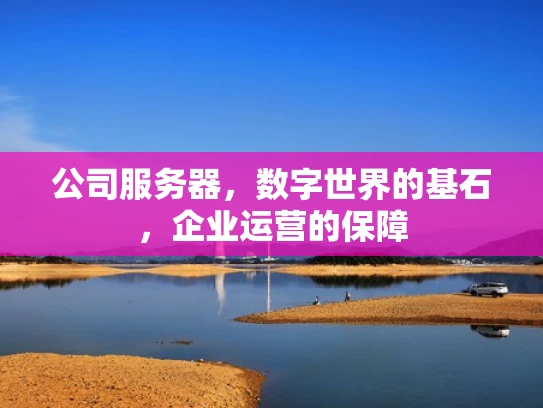 公司服务器，数字世界的基石，企业运营的保障