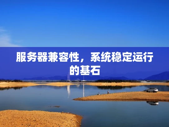 服务器兼容性，系统稳定运行的基石