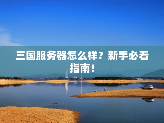 三国服务器怎么样？新手必看指南！