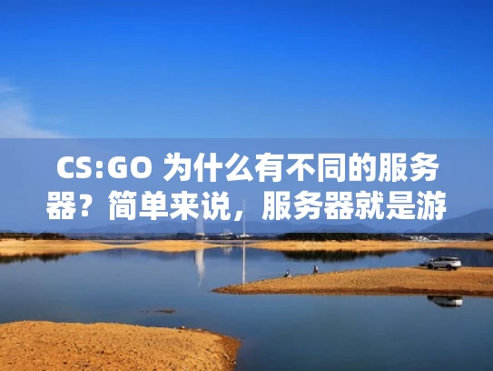 CS:GO 为什么有不同的服务器？简单来说，服务器就是游戏世界里运行的后方工厂，负责处理玩家请求和生成游戏画面。不同服务器之间可能会有不同的配置和设置，导致游戏体验有所不同