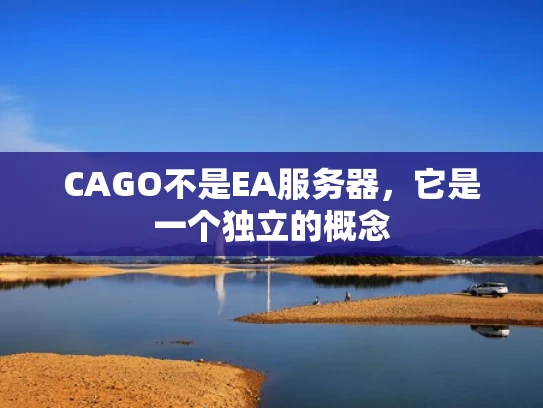 CAGO不是EA服务器，它是一个独立的概念