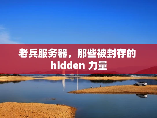 老兵服务器，那些被封存的 hidden 力量