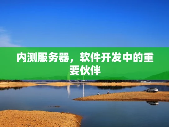 内测服务器，软件开发中的重要伙伴