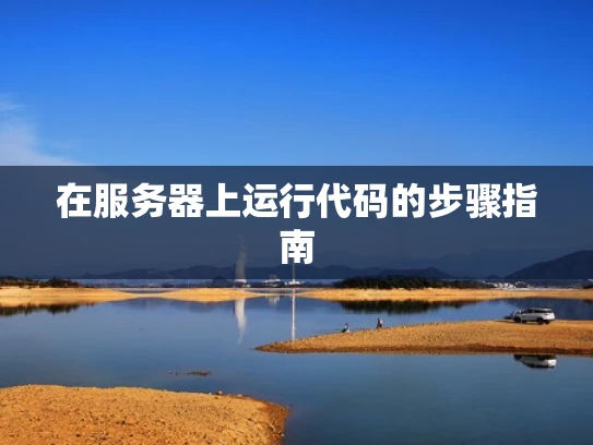 在服务器上运行代码的步骤指南