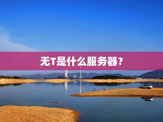 无T是什么服务器？