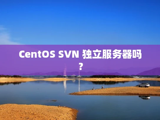 CentOS SVN 独立服务器吗？