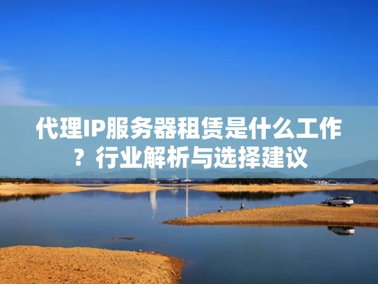 代理IP服务器租赁是什么工作？行业解析与选择建议