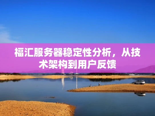 福汇服务器稳定性分析，从技术架构到用户反馈