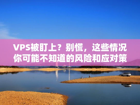 VPS被盯上？别慌，这些情况你可能不知道的风险和应对策略