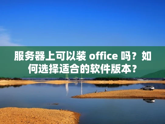 服务器上可以装 office 吗？如何选择适合的软件版本？