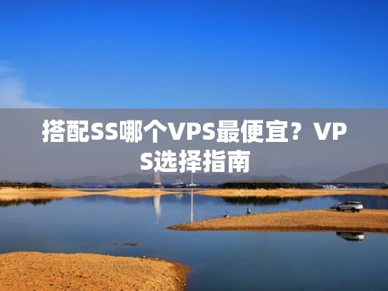 搭配SS哪个VPS最便宜？VPS选择指南