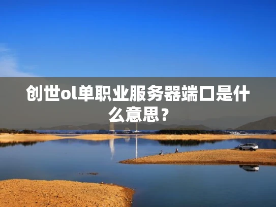 创世ol单职业服务器端口是什么意思？