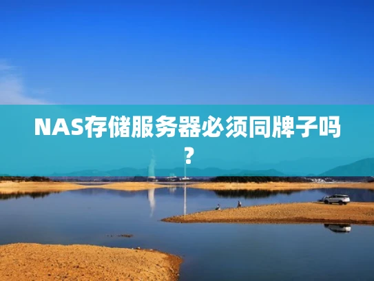 NAS存储服务器必须同牌子吗？