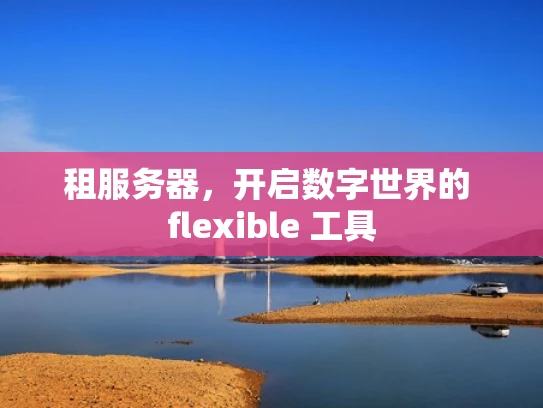 租服务器，开启数字世界的 flexible 工具