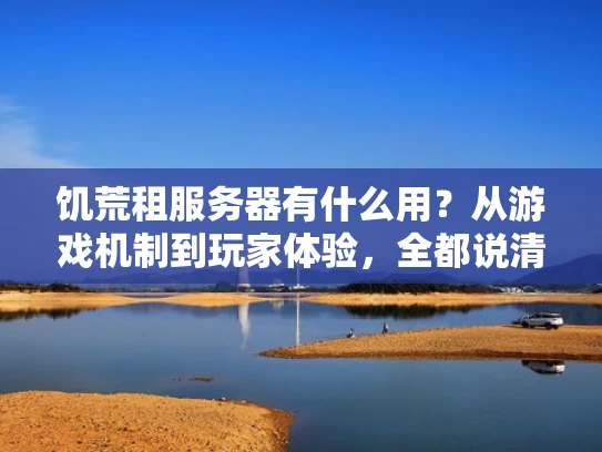 饥荒租服务器有什么用？从游戏机制到玩家体验，全都说清楚了