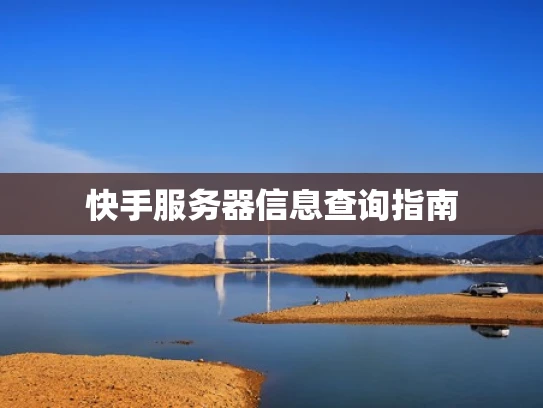 快手服务器信息查询指南