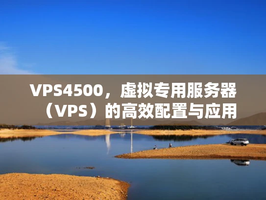 VPS4500，虚拟专用服务器（VPS）的高效配置与应用