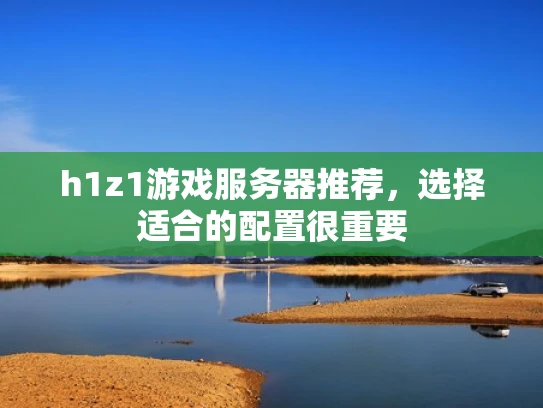 h1z1游戏服务器推荐，选择适合的配置很重要