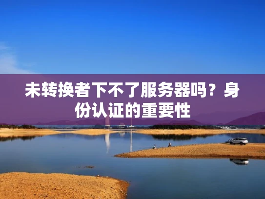未转换者下不了服务器吗？身份认证的重要性