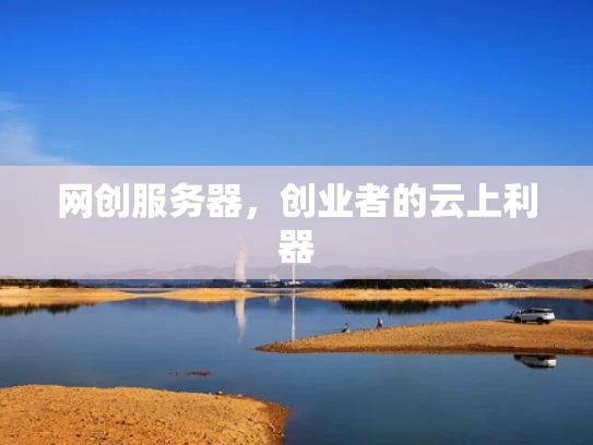 网创服务器，创业者的云上利器
