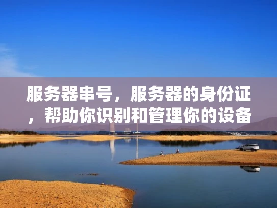 服务器串号，服务器的身份证，帮助你识别和管理你的设备