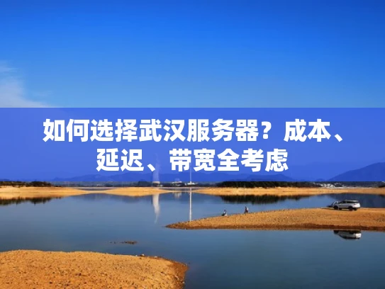 如何选择武汉服务器？成本、延迟、带宽全考虑