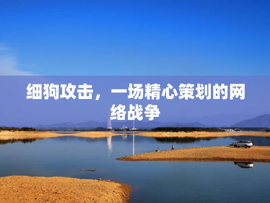 细狗攻击，一场精心策划的网络战争