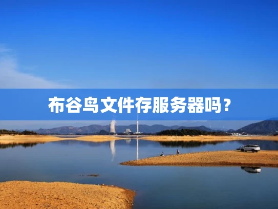 布谷鸟文件存服务器吗？