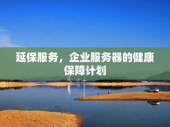延保服务，企业服务器的健康保障计划