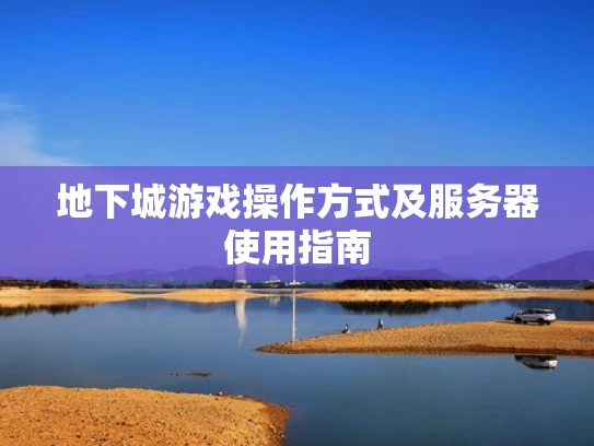 地下城游戏操作方式及服务器使用指南