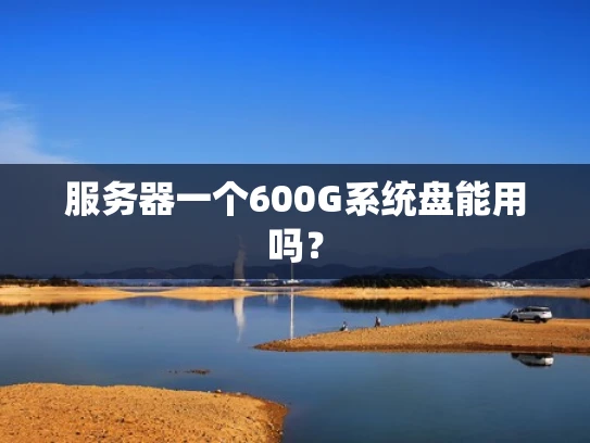 服务器一个600G系统盘能用吗？