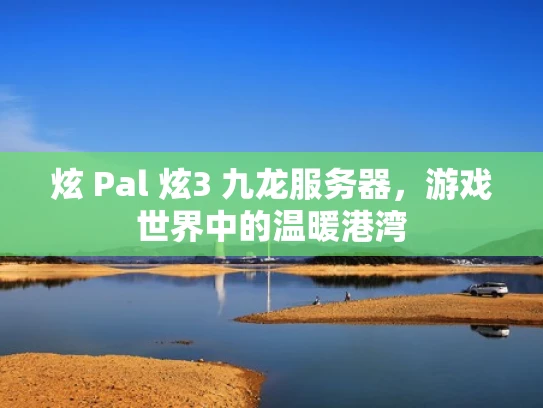 炫 Pal 炫3 九龙服务器，游戏世界中的温暖港湾