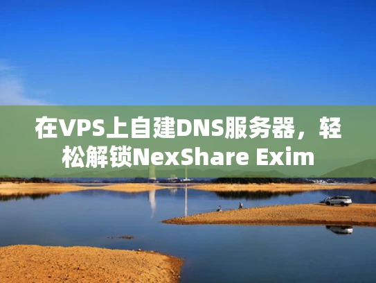 在VPS上自建DNS服务器，轻松解锁NexShare Exim