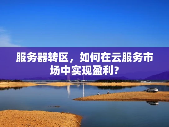 服务器转区，如何在云服务市场中实现盈利？