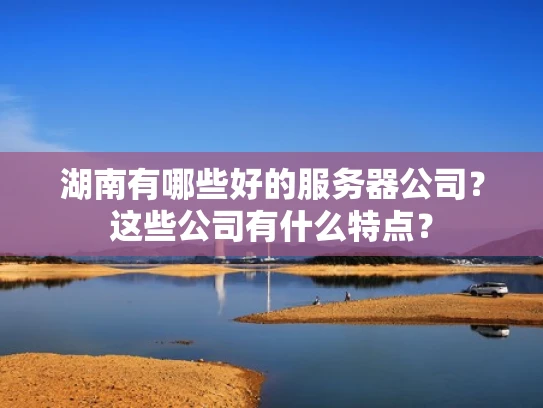 湖南有哪些好的服务器公司？这些公司有什么特点？