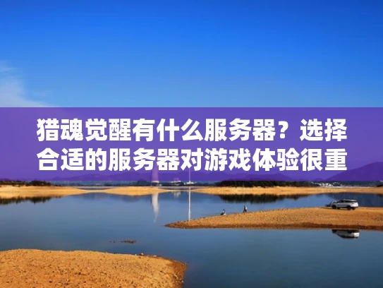 猎魂觉醒有什么服务器？选择合适的服务器对游戏体验很重要！