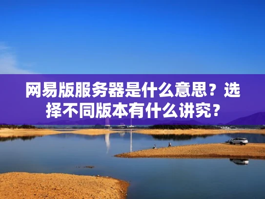 网易版服务器是什么意思？选择不同版本有什么讲究？