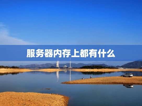 服务器内存上都有什么