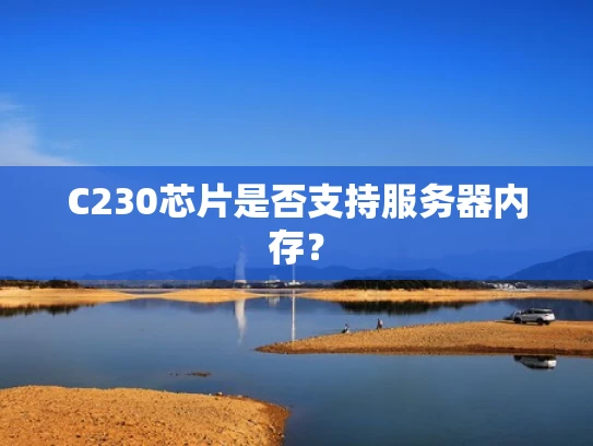 C230芯片是否支持服务器内存？