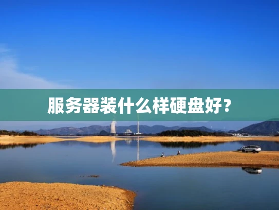 服务器装什么样硬盘好？