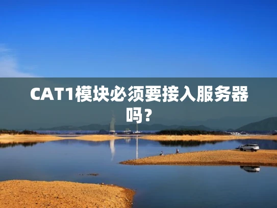 CAT1模块必须要接入服务器吗？