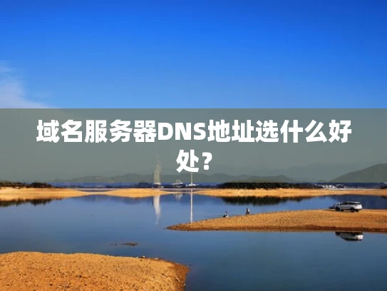 域名服务器DNS地址选什么好处？